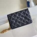 Louis Vuitton Pochette Coussin Black 20Cm M82116 - Image 2
