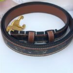 Celine Triomphe Belt In Triomphe Canvas Tan 25Mm - Image 4