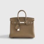Hermès Birkin 25 Togo Toundra Palladium Hardware