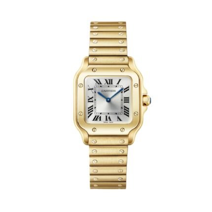Santos De Cartier Watch