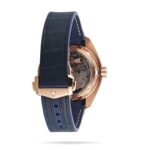 OMEGA Seamaster Planet Ocean 600M - Image 3