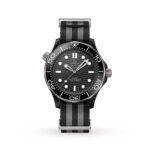 OMEGA Seamaster Diver 300M