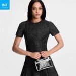 Louis Vuitton M26097 VANITY CHAIN POUCH - Image 2