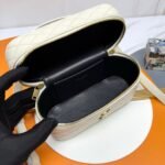 Saint Laurent GABY vanity bag in lambskin - Image 11