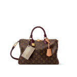 Louis Vuitton M28379 Speedy 30 Soft Celebration