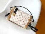 Louis Vuitton Side Trunk MM M46907 - Image 2