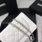 CHANEL Wallet On Chain AP0250 - Image 6