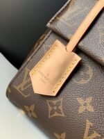 Louis Vuitton M46055 Cluny Mini - Image 6