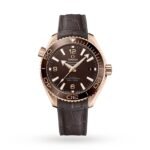 OMEGA Seamaster Planet Ocean 600M