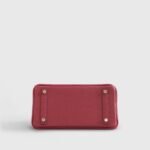 Hermès Birkin 25 Togo Rubis Gold Hardware - Image 5