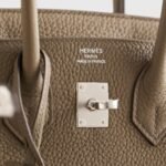 Hermès Birkin 25 Togo Toundra Palladium Hardware - Image 8