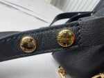 Louis Vuitton M25209 Dauphine Soft MM - Image 11