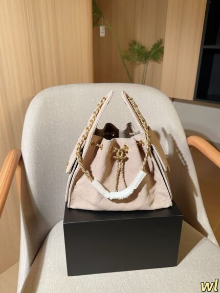 CHANEL 25 Small Handbag