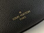 Louis Vuitton M11429 Low Key Bumbag - Image 7