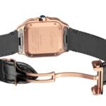 Santos de Cartier - Image 5