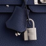 Hermès Birkin 25 Togo Blue Navy Palladium Hardware - Image 5