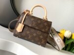 Louis Vuitton M46055 Cluny Mini - Image 2