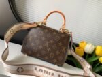 Louis Vuitton M46055 Cluny Mini - Image 5