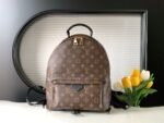 Louis Vuitton Palm Springs MM M44874 - Image 2