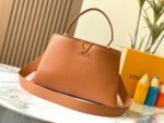 Louis Vuitton M24620 Large CAPUCINES SOUPLE BAG - Image 2