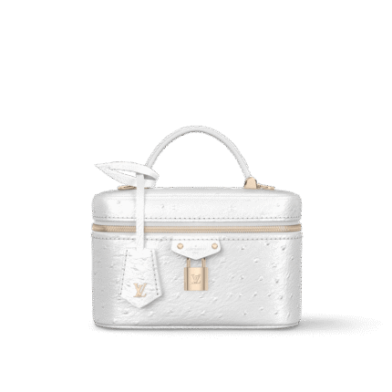 Louis Vuitton N85911 Vanity Chain Pouch
