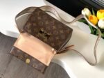 Louis Vuitton M46055 Cluny Mini - Image 8