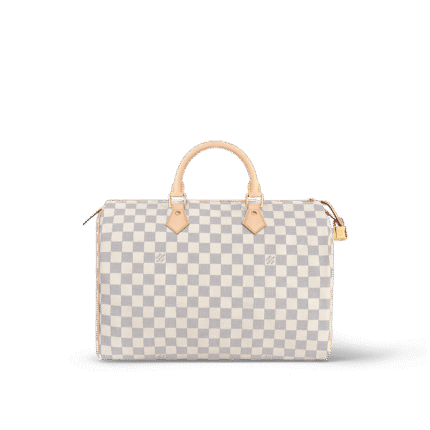 Louis Vuitton N41369 Speedy 35