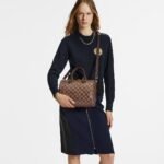 Louis Vuitton Speedy Bandouliere 25 N40575 - Image 3