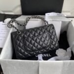 CHANEL CLASSIC HANDBAG Lambskin & Silver Metal - Image 7