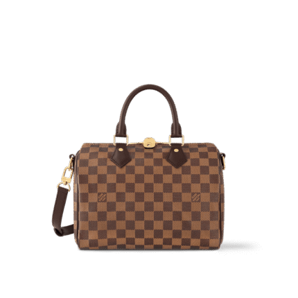Louis Vuitton Speedy Bandouliere 25 N40575 (top quality)