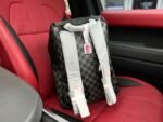 Louis Vuitton Backpack - Image 7